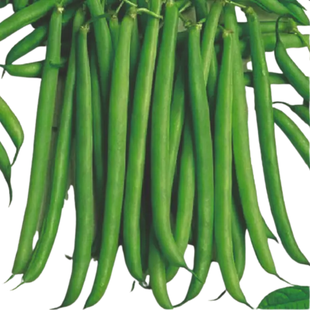 Beans