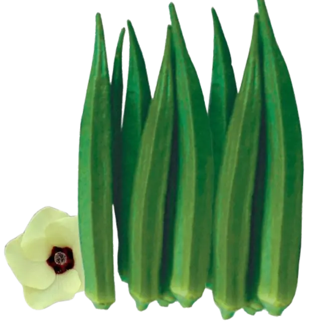 Bhendi (Okra)