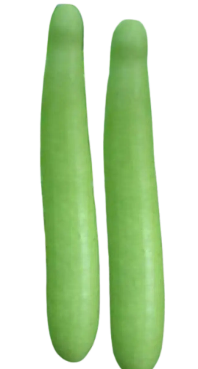 Bottle Gourd