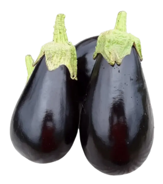 Brinjal (Eggplant)