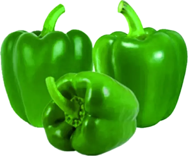 Capsicum