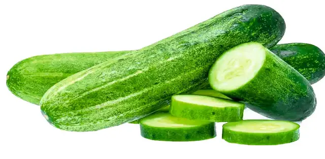 Cucumber