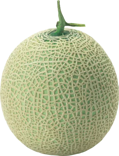 Muskmelon