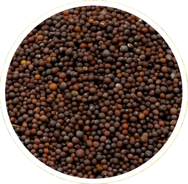 Mustard