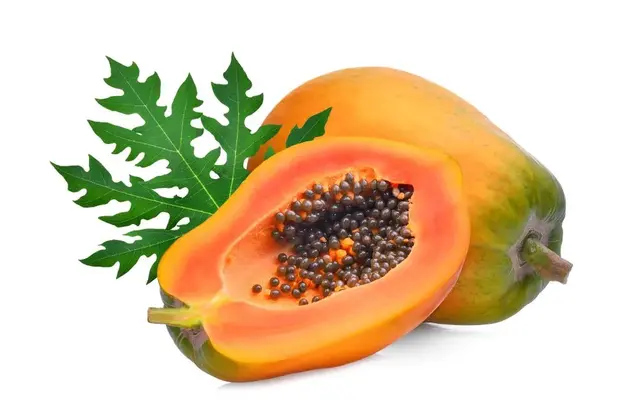 Papaya