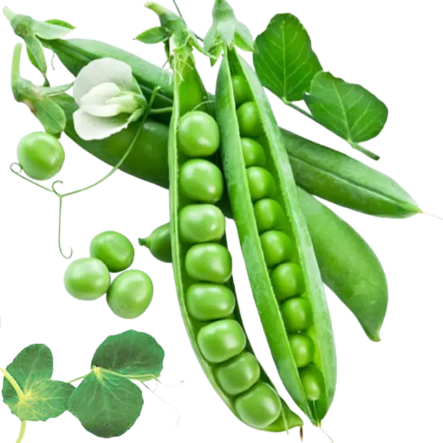 Peas