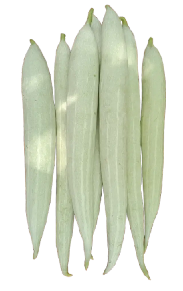Snake Gourd