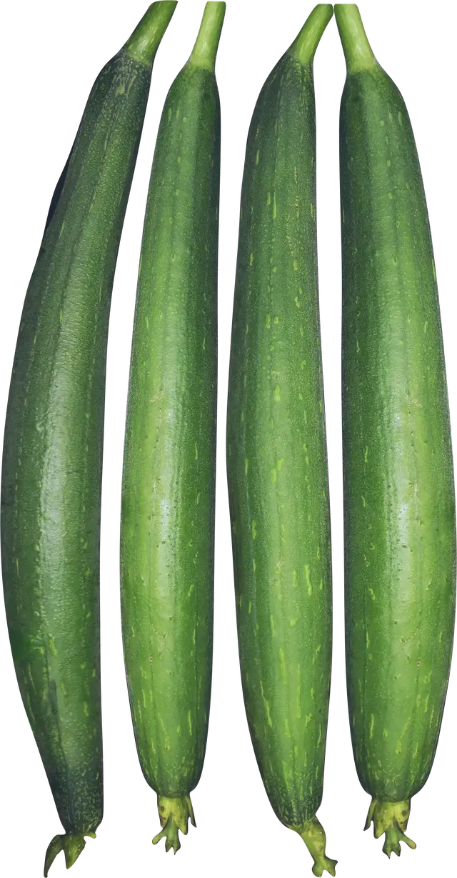 Sponge Gourd