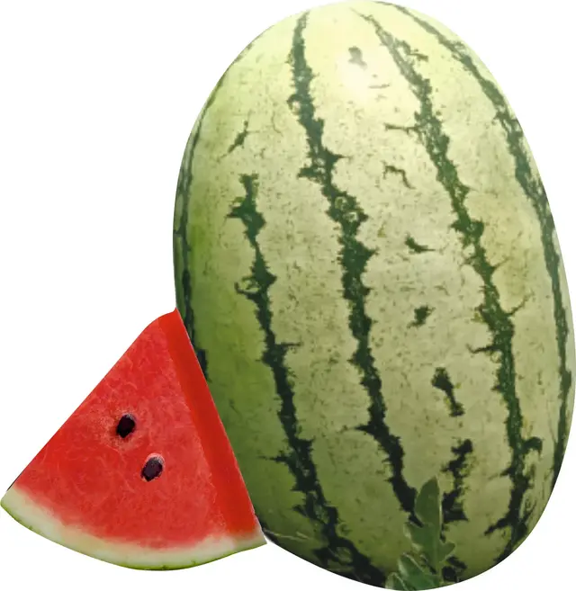 Watermelon