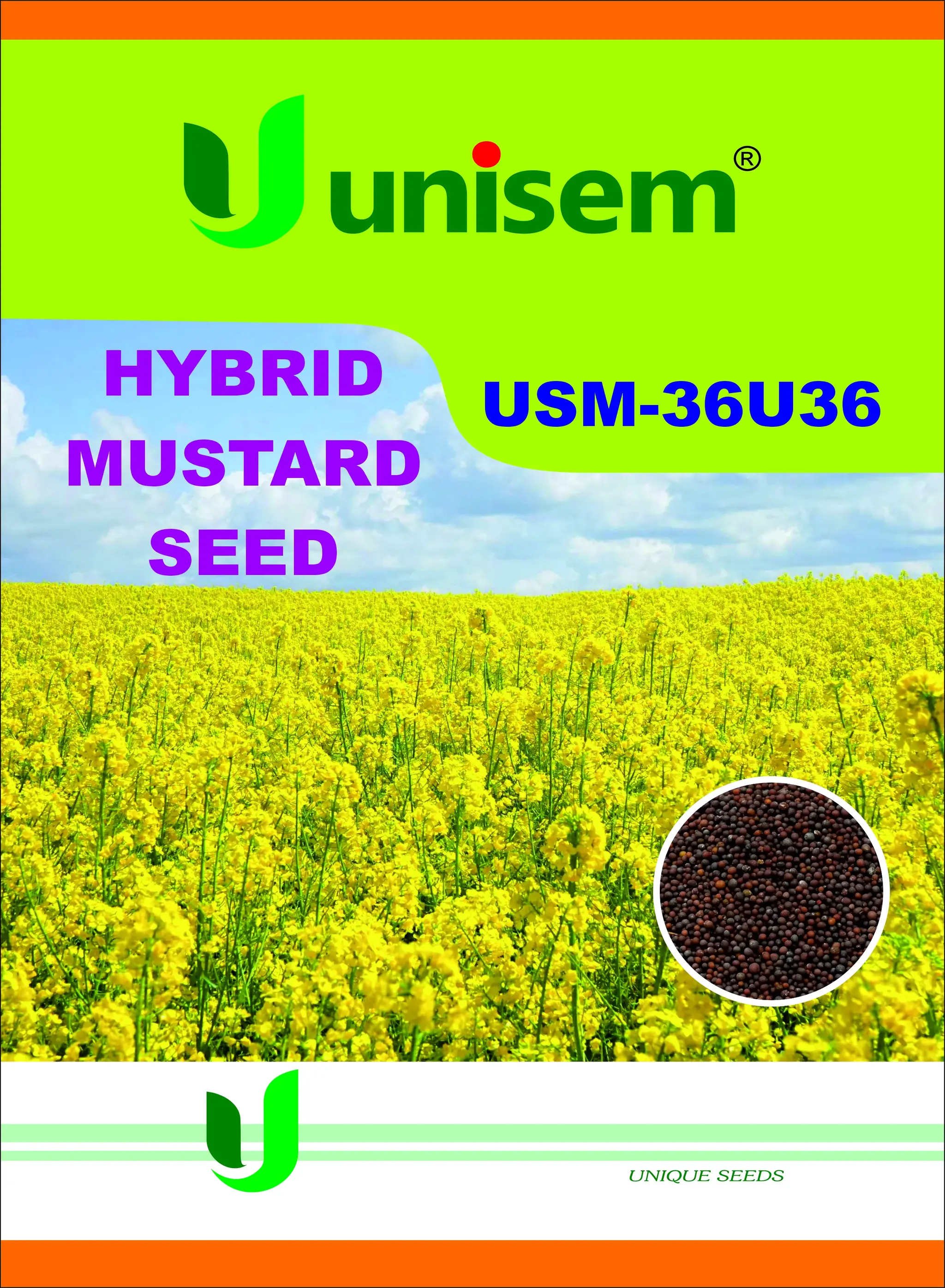 USM-36U36